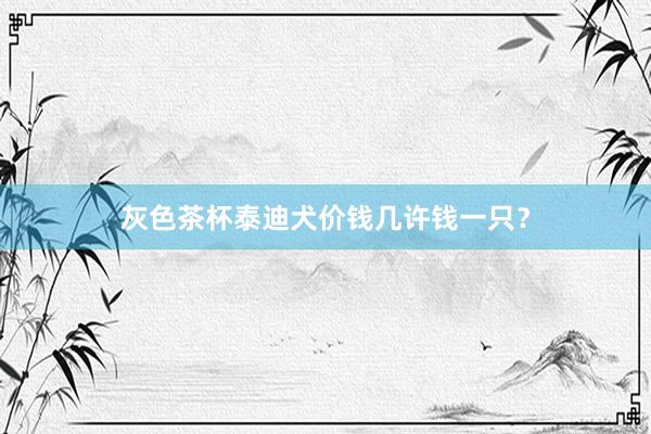 灰色茶杯泰迪犬价钱几许钱一只?