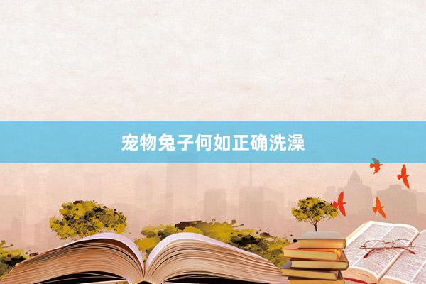 宠物兔子何如正确洗澡